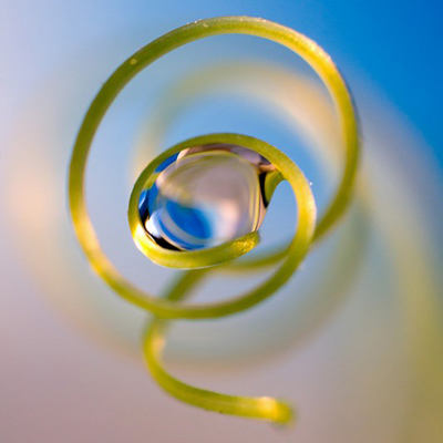 volutes-site