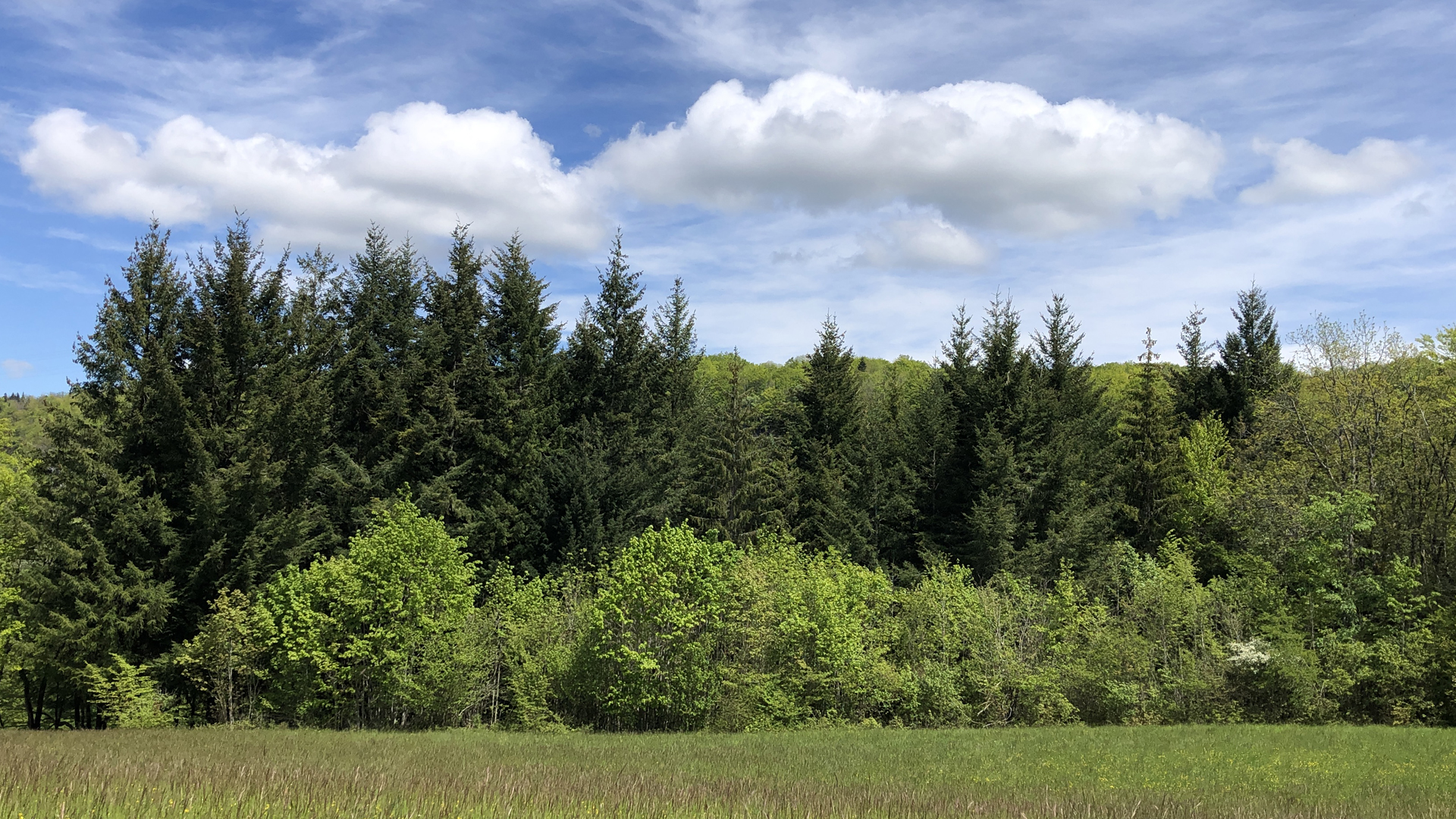 longecombe-page-accueil-1920×1080-2