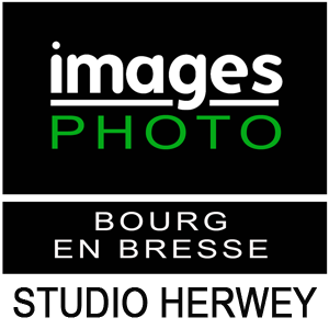 herwey-logo-300x300