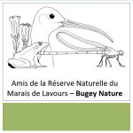 Amis de la Réserve Logo 2 Naturelle du Marais de Lavours - Bugey Nature