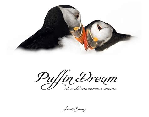 Laurent Echenoz - Puffin dream