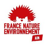 FNE Ain Logo