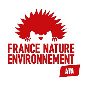 FNE Ain Logo