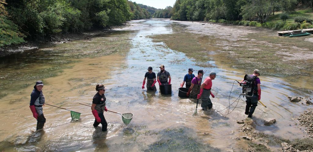 Fédération départementale de la Pêche de l'Ain Festival Nature Ain 2024 action dans rivière