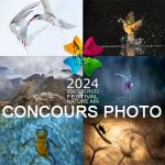 Mosaique concours photos 2024 VIGNETTE