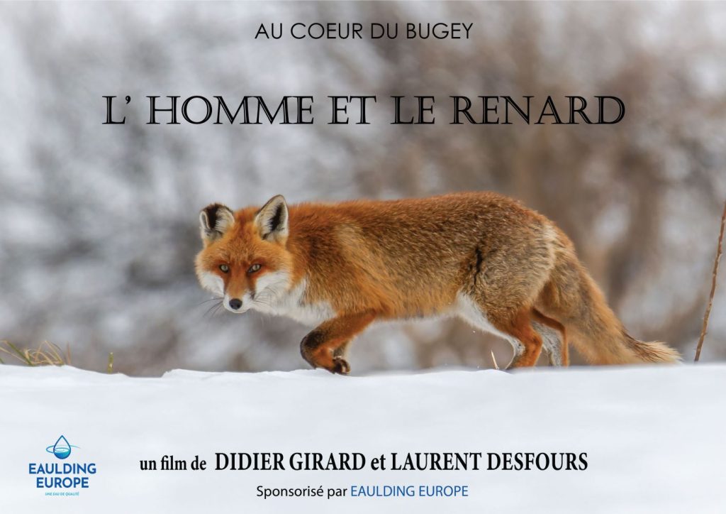 Laurent Desfours - Affiche