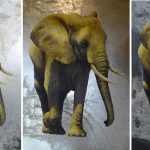 Chamard Jean-Marc _3