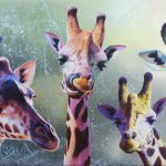 Chamard Jean-Marc _5