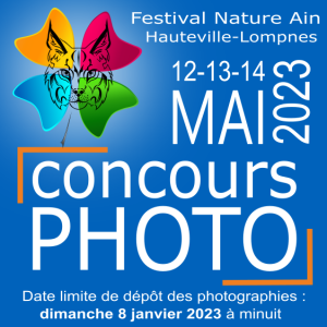 Vignette concours 2023