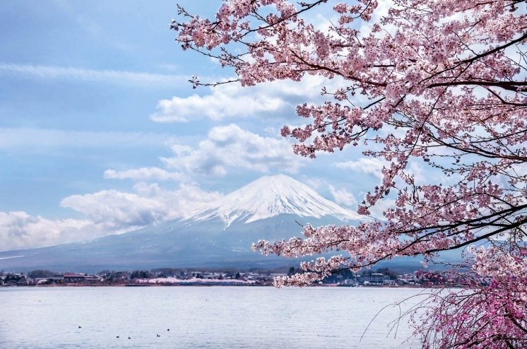 Emmanuelle GRUNDMANN Japon cerisiers