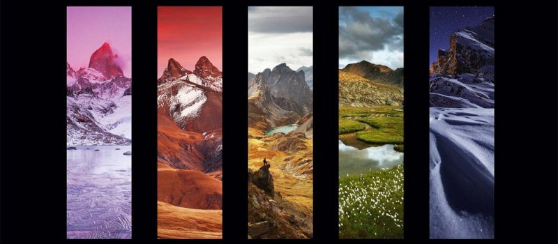 Livre d'Ambre de l'Alpe