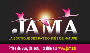 LOGO JAMA 300 LOGO JAMA 300