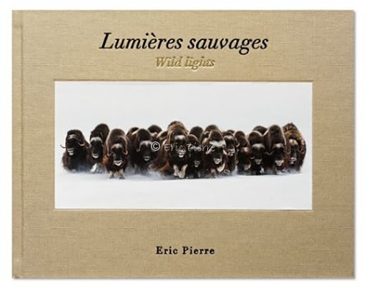 lumeres-sauvages-eric-pierre