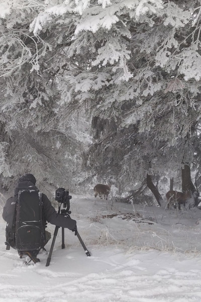 RAYDELET Patrice Réalisateur Action