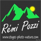 remi-pozzi-logo